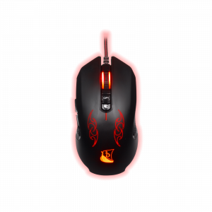 3328170269889 KX-DRAKKAR - HOENIR