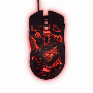 3328170273237 KX-DRAKKAR - DAIN